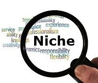 Chhosing a niche is a key part of how search engine optimization on a website is improved