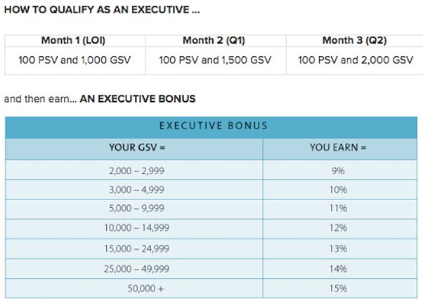 What is the Nu Skin qualifying levels