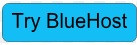 Bluehost offers what is website hosting services