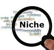 Choosing your niche is part of how to start a WordPress blog from scratch