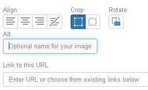 add an Alt tag for images is part of how to create content for a blog